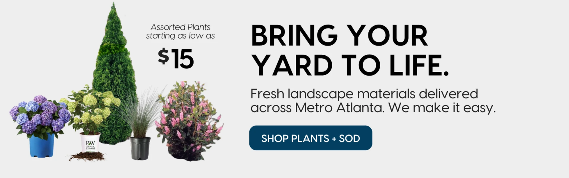 Promotional banner
