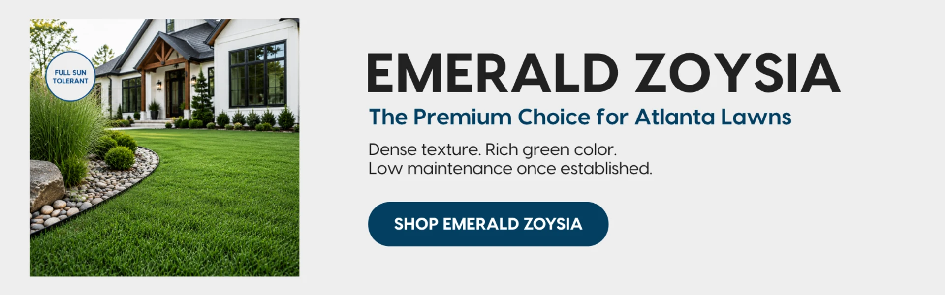 Promotional banner